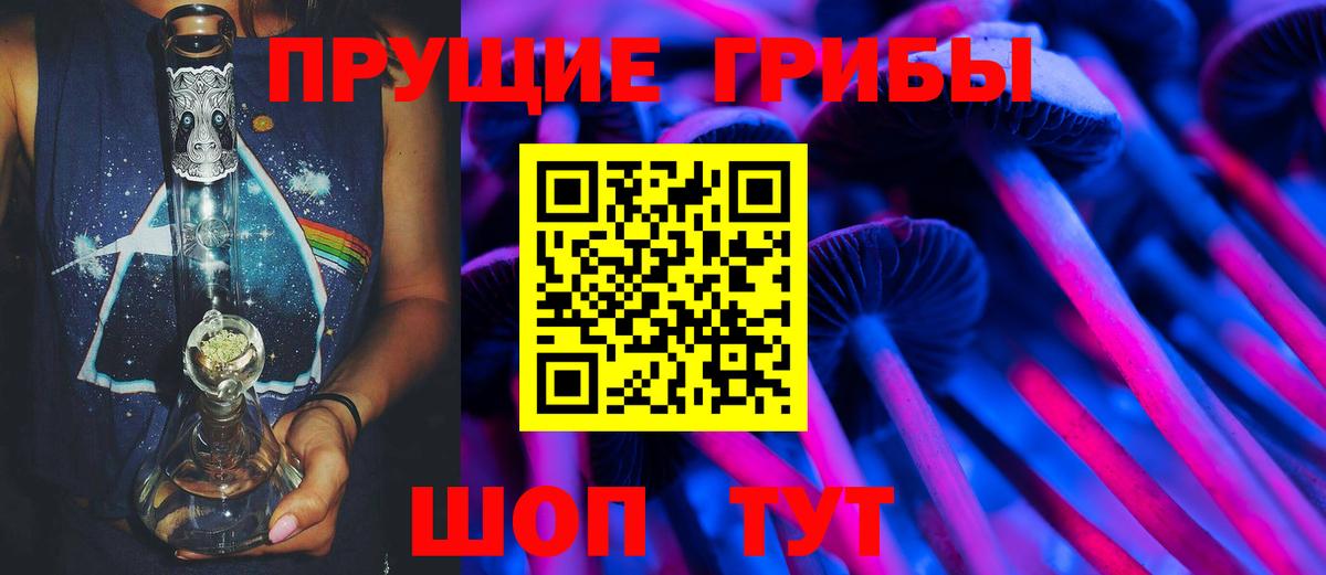 Псилоцибиновые грибы мицелий  Псилоцибиновые грибы GOLDEN TEACHER  Вход с VPN  Бийск 