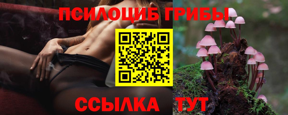 Псилоцибиновые грибы ЛСД Бийск